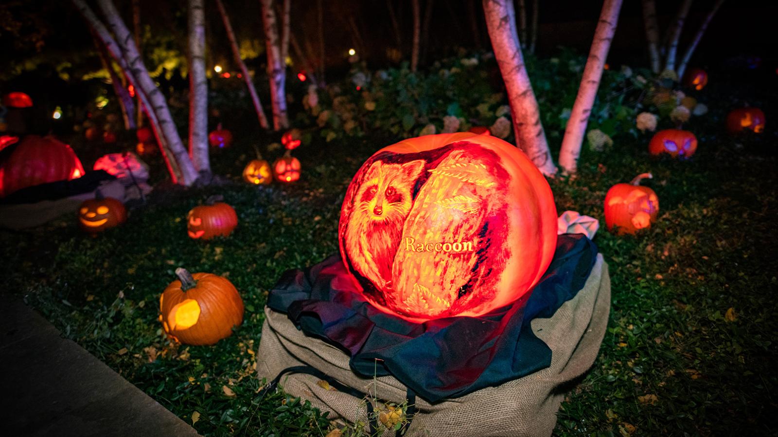 Monstrous Vibes Meet Crisp Fall Evenings at Night of 1,000 Jack-o